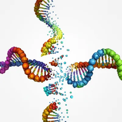 Illustration cleaving - Image 1