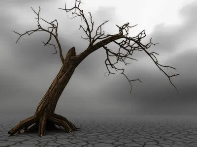 Illustration abides - Image 1