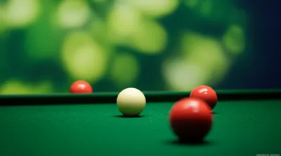 Illustration plants - Image 1