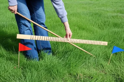 Illustration yards - Image 1