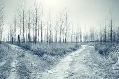 Illustration bleak - Image 2