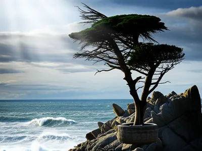 Illustration endured - Image 1