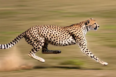 Illustration wicked - Image 1