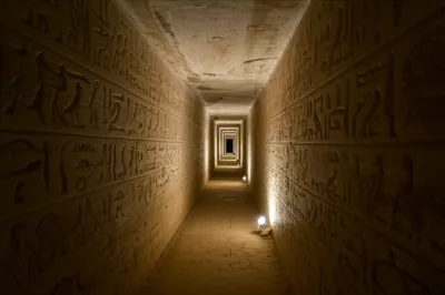 Illustration syrinx - Image 1