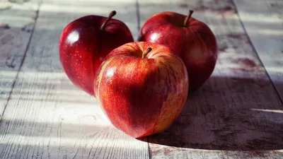 Illustration apples - Image 2