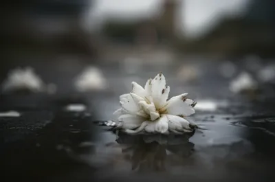 Illustration polluted - Image 1