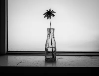 Illustration flats - Image 1