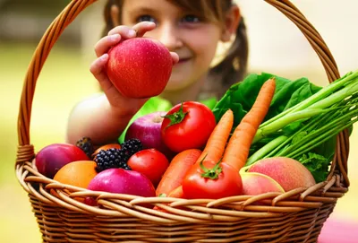 Illustration edible - Image 1