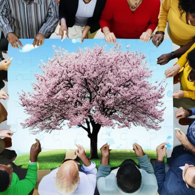 Illustration concordance - Image 1