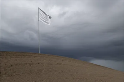 Illustration conceded