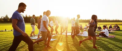 Illustration herding