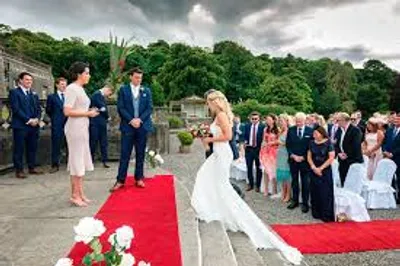 Illustration pomp - Image 2