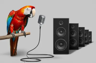 Illustration reiterating - Image 1