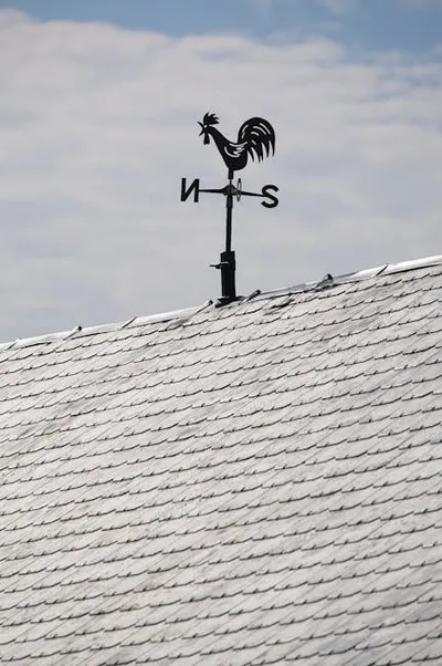 Illustration weathercock - Image 3