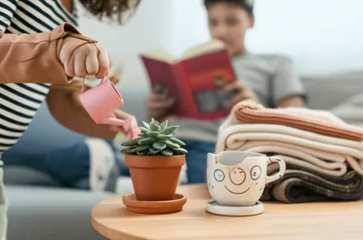 Illustration pets - Image 1