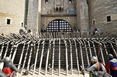 Illustration hedgehog - Image 1