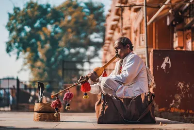 Illustration charmer - Image 2