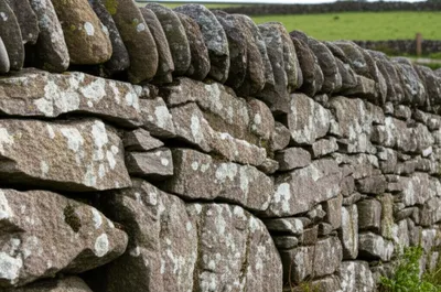 Illustration grounders - Image 1