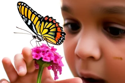 Illustration sentient - Image 1