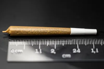 Illustration cone - Image 1