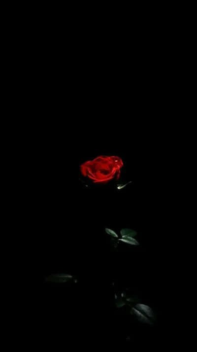 Illustration glimpse - Image 1