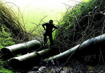 Illustration back - Image 1