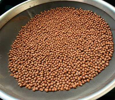 Illustration prickle - Image 1