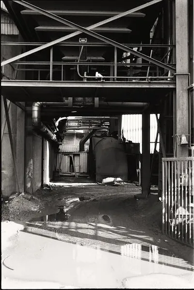 Illustration chute - Image 2