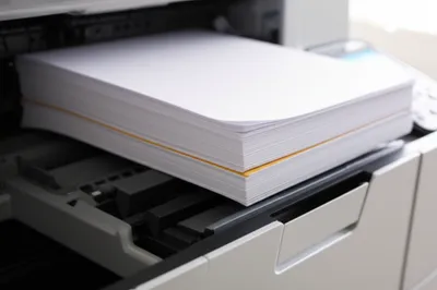 Illustration publish - Image 1