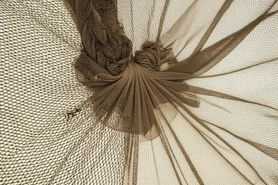 Illustration trammel - Image 1