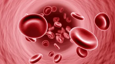 Illustration sickle - Image 1