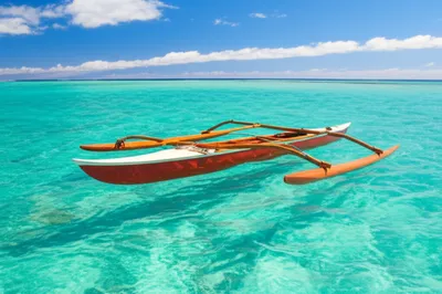 Illustration rigger - Image 1