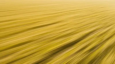 Illustration sweeping - Image 1