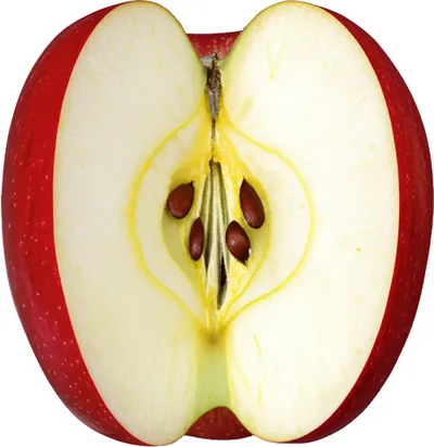 Illustration cloven - Image 1