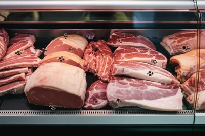 Illustration dogs - Image 1