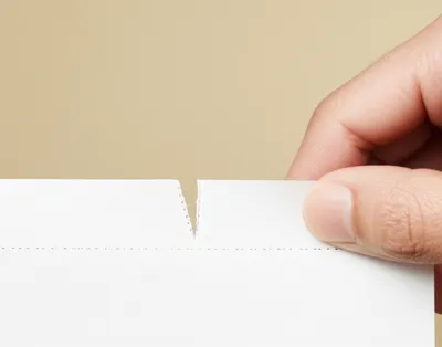 Illustration perforate - Image 1