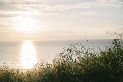 Illustration rushes - Image 1