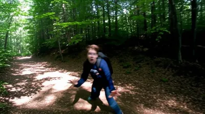 Illustration shied - Image 1