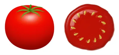 Illustration flattened - Image 1