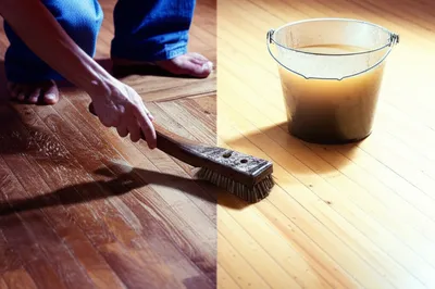 Illustration scraped - Image 1