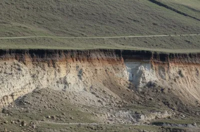 Illustration groin - Image 1