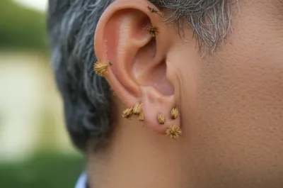 Illustration burrs - Image 1