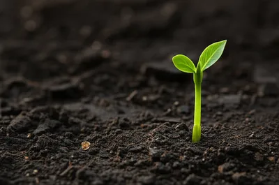 Illustration only - Image 1