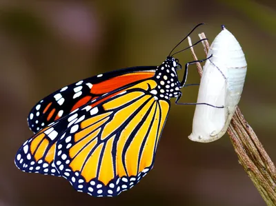 Illustration reprogram - Image 1