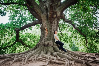 Illustration insists - Image 1