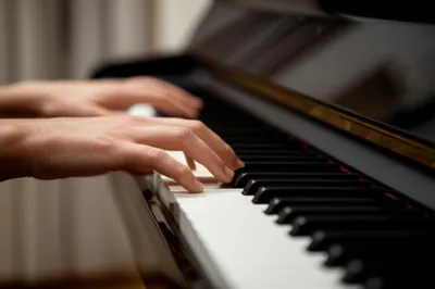 Illustration fingering - Image 1