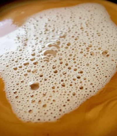 Illustration froth - Image 1