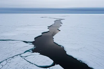 Illustration lead - Image 1