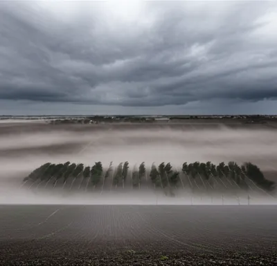 Illustration derechos