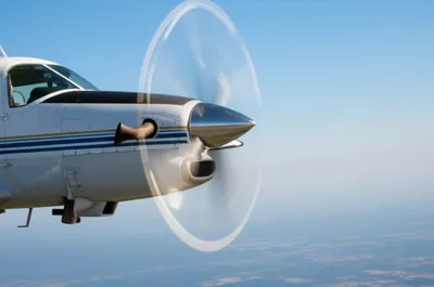 Illustration feathering - Image 1